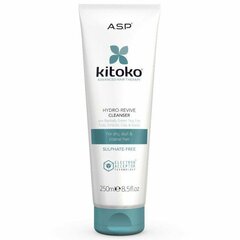 Shampoo KITOKO Hydro Revive Cleanser, 250ml hinta ja tiedot | Shampoot | hobbyhall.fi