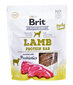 Brit Lamb Protein lampaanlihaa, 200 g hinta ja tiedot | Koiran kuivaruoka | hobbyhall.fi