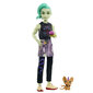 Nukke lisätarvikkeineen Monster High Deuce Gorgon hinta ja tiedot | Tyttöjen lelut | hobbyhall.fi