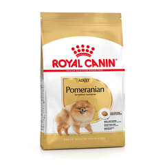 Royal Canin Pomeranian Adult aikuisille pomeranian koirille, 2x3 kg hinta ja tiedot | Koiran kuivaruoka | hobbyhall.fi