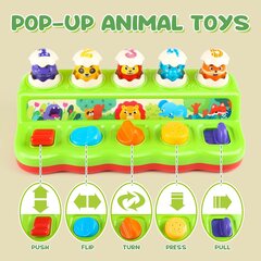 Pop Up Toys -musiikkilelu hinta ja tiedot | Vauvan lelut | hobbyhall.fi