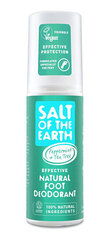 Suolasuihke Salt of the Earth Foot Spray, 100 ml hinta ja tiedot | Deodorantit | hobbyhall.fi