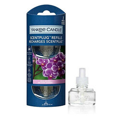 Kodin tuoksun täyttö Yankee Candle Wild Orchid, 2x18.5 ml hinta ja tiedot | Yankee Candle Hajuvedet ja kosmetiikka | hobbyhall.fi