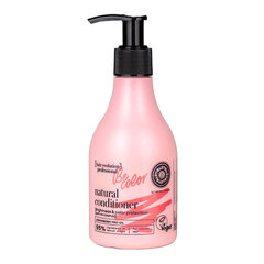 Hoitoaine Hair Evolution Brightness & Color Protection, 245 ml hinta ja tiedot | Hoitoaineet | hobbyhall.fi