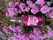 Ruusuvesi Purity Vision Bio Rose, 100 ml hinta ja tiedot | Vartalovoiteet ja -emulsiot | hobbyhall.fi