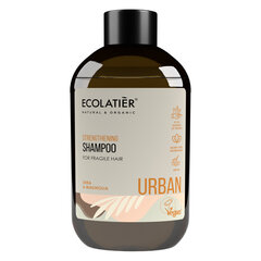 Vahvistava shampoo hauraille hiuksille Ecolatier Urban, 600 ml hinta ja tiedot | Shampoot | hobbyhall.fi