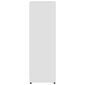vidaXL Kylpyhuonekaappi valkoinen 30x30x95 cm lastulevy hinta ja tiedot | Kylpyhuonekaapit | hobbyhall.fi