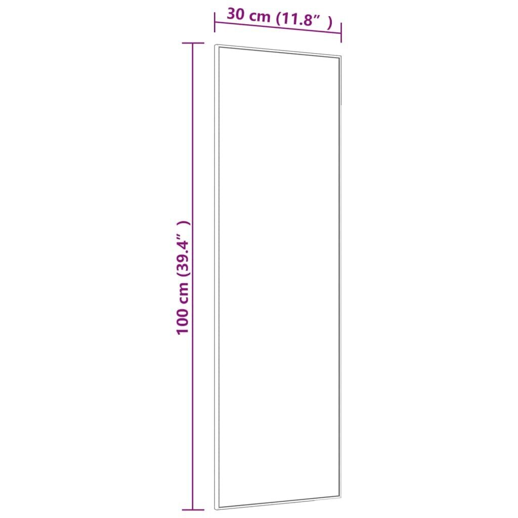 vidaXL Ovipeili kulta 30x100 cm lasi ja alumiini hinta ja tiedot | Peilit | hobbyhall.fi