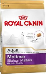 Royal Canin Maltese Adult maltankoiralle, 0,5 kg hinta ja tiedot | Koiran kuivaruoka | hobbyhall.fi