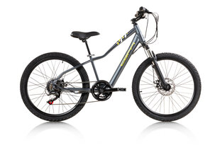 Elektrinis dviratis Hero Mtb Steel 24", pilkas hinta ja tiedot | Sähköpyörät | hobbyhall.fi