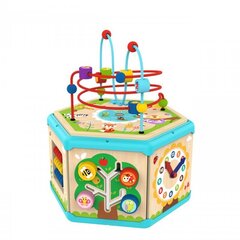 Tooky toy interaktiivinen puinen kuusikulmainen laatikko hinta ja tiedot | Vauvan lelut | hobbyhall.fi