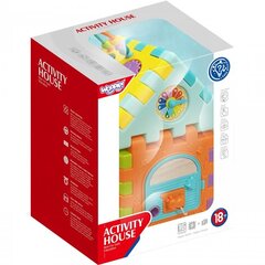 Activity House, monikäyttöinen lelu hinta ja tiedot | Vauvan lelut | hobbyhall.fi