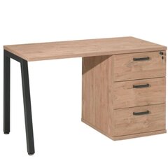 Kirjoituspöytä Aatrium Home Space, 120x65x73 cm, ruskea/musta hinta ja tiedot | Tietokonepöydät ja työpöydät | hobbyhall.fi