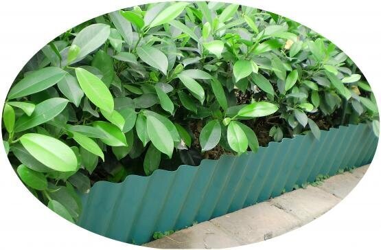 Garden Line nurmikon reunanauha 10 x 600 cm hinta ja tiedot | Aidat ja tarvikkeet | hobbyhall.fi