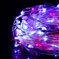 LED-valosarja paristoilla (20 lediä) hinta ja tiedot | Jouluvalot | hobbyhall.fi