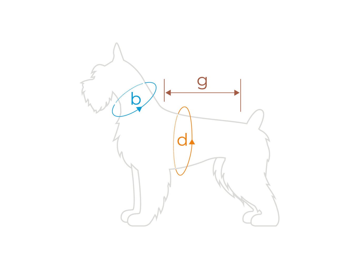 Amiplay Bronx Koirantakki, 37 cm, punainen hinta ja tiedot | Koiran vaatteet | hobbyhall.fi