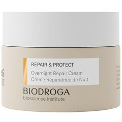 Elvyttävä yövoide BIODROGA Repair And Protect Overnight Repair, 50ml hinta ja tiedot | Kasvovoiteet | hobbyhall.fi