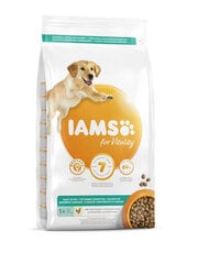 Iams ProActive Health aikuisille koirille steriloinnin jälkeen, kanaa, 12 kg hinta ja tiedot | Koiran kuivaruoka | hobbyhall.fi