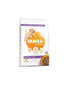 Iams ProActive Health suurirotuisille pennuille. kanaa, 3 kg hinta ja tiedot | Koiran kuivaruoka | hobbyhall.fi