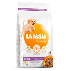 Iams ProActive Health suurikokoisille koiranpennuille, kanaa, 12 kg hinta ja tiedot | Koiran kuivaruoka | hobbyhall.fi