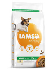 Iams For Vitality pienille ja keskikokoisille aikuisille koirille, kanaa, 5 kg hinta ja tiedot | Koiran kuivaruoka | hobbyhall.fi