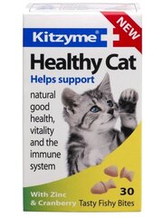 Vitamiinit kissoille Healthy Cat, 30 tablettia.. hinta ja tiedot | Kissan terveys ja hyvinvointi | hobbyhall.fi