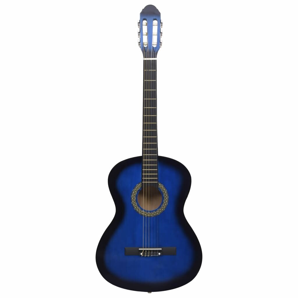 vidaXL 12-osainen klassinen kitara aloittelijan sarja sininen 4/4 39" hinta ja tiedot | Kitarat | hobbyhall.fi