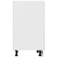 vidaXL Alalipastokaappi valkoinen 50x46x81,5 cm lastulevy hinta ja tiedot | Keittiön kaapit | hobbyhall.fi