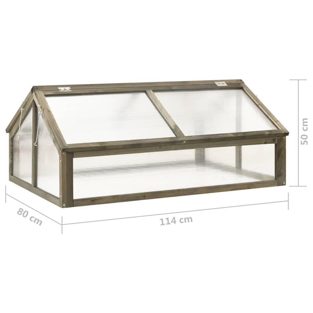 vidaXL Kasvihuone harmaa 114x80x50 cm kuusi hinta ja tiedot | Kasvihuoneet | hobbyhall.fi