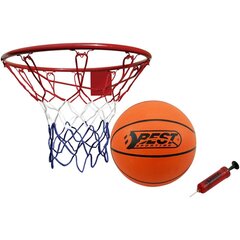 Koripallokehä pallolla ja pumpulla, 45 cm hinta ja tiedot | Best Sporting Urheilu ja vapaa-aika | hobbyhall.fi