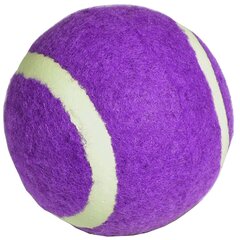 Tennispallo, Enero, violetti 1 kpl hinta ja tiedot | Tennisvälineet | hobbyhall.fi