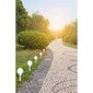 LED-puutarhalamppusarja, 15x44cm, 9kpl hinta ja tiedot | Puutarha- ja ulkovalot | hobbyhall.fi