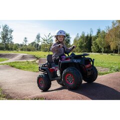 Lasten sähköinen mönkijä, trapper, punainen hinta ja tiedot | Lasten sähköautot | hobbyhall.fi