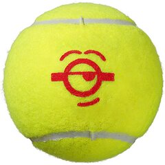 Wilson tennispallot 3 kpl, punainen hinta ja tiedot | Tennisvälineet | hobbyhall.fi