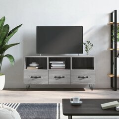 vidaXL TV-taso harmaa Sonoma 102x36x50 cm tekninen puu hinta ja tiedot | TV-tasot | hobbyhall.fi
