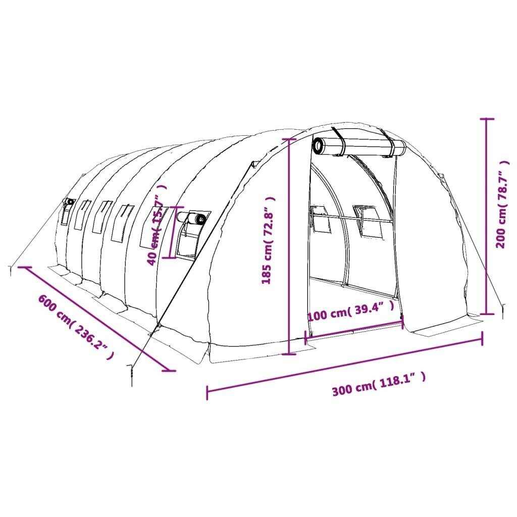 vidaXL Kasvihuone teräsrungolla vihreä 18 m² 6x3x2 m hinta ja tiedot | Kasvihuoneet | hobbyhall.fi