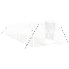 vidaXL Kasvihuone teräsrungolla valkoinen 36 m² 12x3x2 m hinta ja tiedot | Kasvihuoneet | hobbyhall.fi