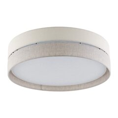 TK Lighting kattovalaisin Eco hinta ja tiedot | Kattovalaisimet | hobbyhall.fi