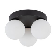 TK Lighting kattovalaisin Mini hinta ja tiedot | Kattovalaisimet | hobbyhall.fi