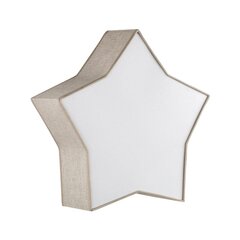 TK Lighting kattovalaisin Star hinta ja tiedot | Kattovalaisimet | hobbyhall.fi