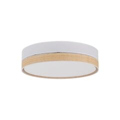 TK Lighting kattovalaisin Paglia hinta ja tiedot | Kattovalaisimet | hobbyhall.fi