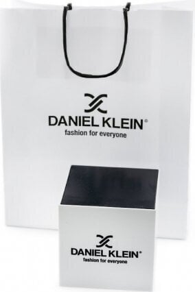 Daniel Klein kello 12205-2 (zl500c) + laatikko hinta ja tiedot | Naisten kellot | hobbyhall.fi