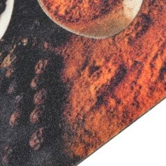 vidaXL Keittiön pestävä matto lusikka ja mausteet 60x300 cm sametti hinta ja tiedot | Isot matot | hobbyhall.fi