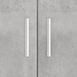 vidaXL Akvaarioteline betoninharmaa 101x41x58 cm tekninen puu hinta ja tiedot | Akvaariotarvikkeet | hobbyhall.fi