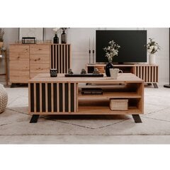 Kahvipöytä Aatrium Medan, 110x67x42 cm, ruskea hinta ja tiedot | Sohvapöydät | hobbyhall.fi