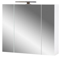Peilikaappi Aatrium Salinas, 76x18x71 cm, valkoinen hinta ja tiedot | Kylpyhuonekaapit | hobbyhall.fi