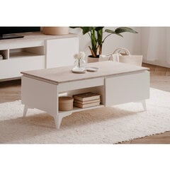Kahvipöytä Aatrium Bertrix, 100x55 cm, valkoinen hinta ja tiedot | Sohvapöydät | hobbyhall.fi