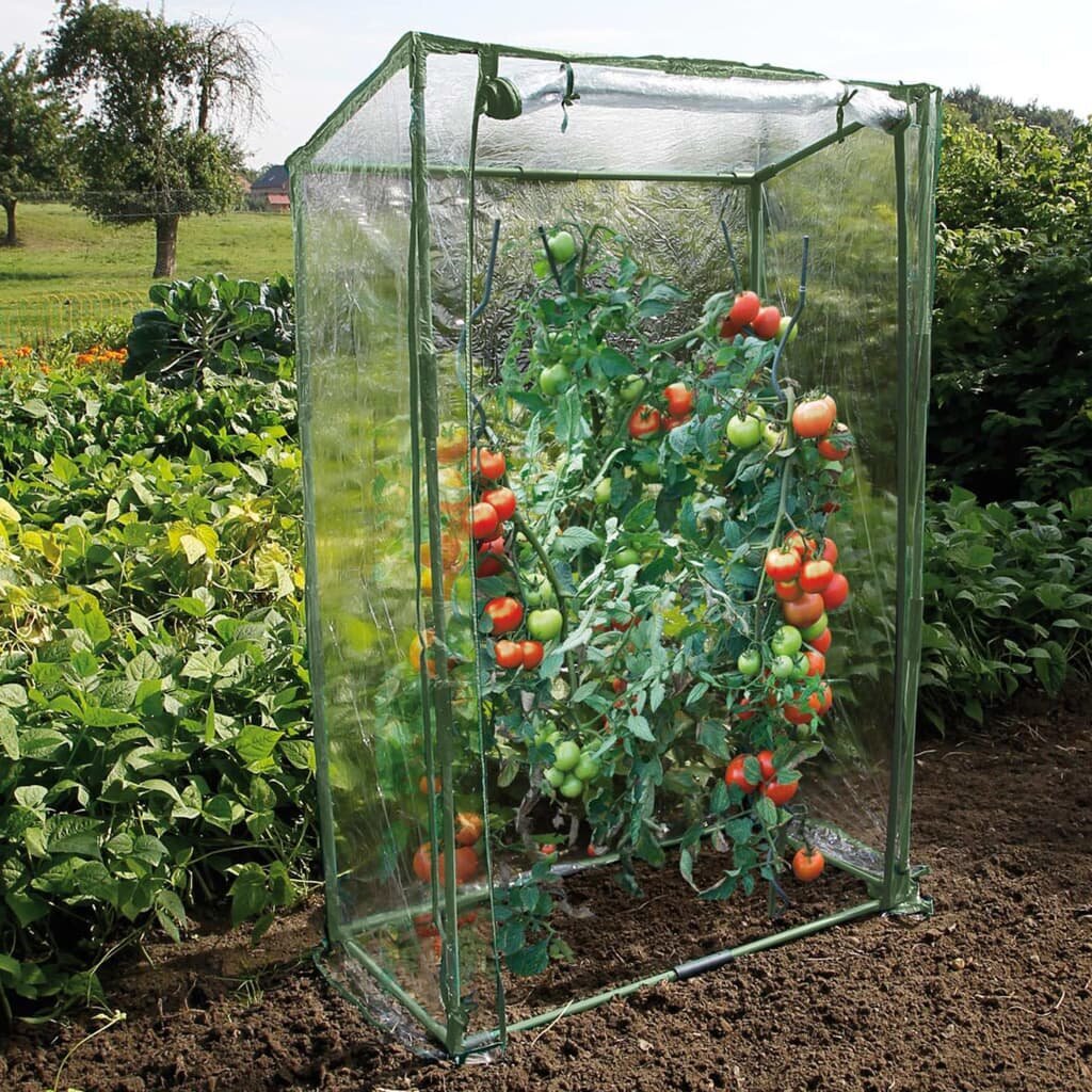 Nature Tomaattikasvihuone 100x50x150 cm hinta ja tiedot | Kasvihuoneet | hobbyhall.fi