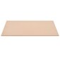 vidaXL MDF-levyt 2 kpl suorakaide 120x60 cm 12 mm hinta ja tiedot | Muut huonekalutarvikkeet | hobbyhall.fi