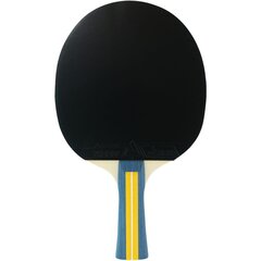 Joola pöytätennismaila hinta ja tiedot | Pingismailat | hobbyhall.fi